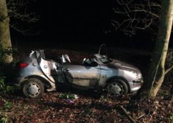 A car collided with a tree at Shermanbury. Photo by Sussex West RPU