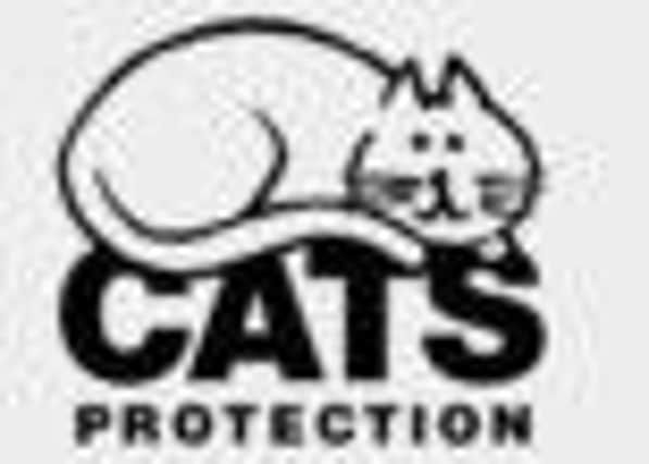 Cats Protection logo.