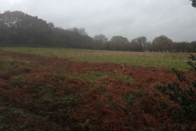 Villagers are campaigning against development in Smock Alley, West Chiltington