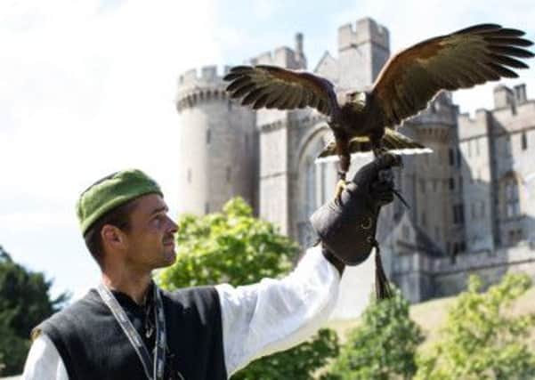 Medieval Falconry at Arundel Castle. Picture by Victoria Dawe SUS-150303-103845001