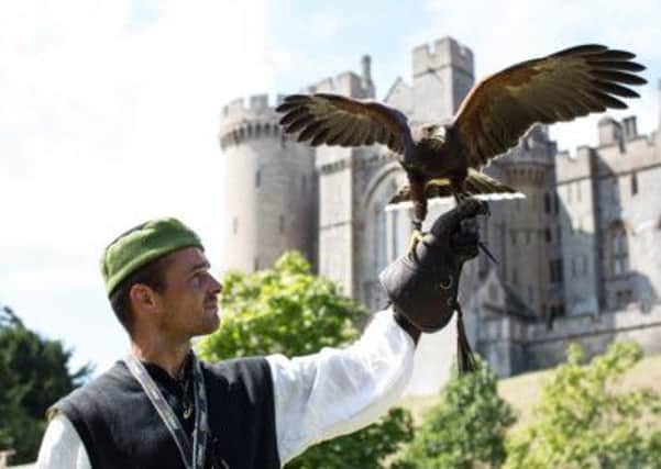 Medieval magic will be taking flight at Arundel Castle later this month  PHOTO: Victoria Dawe Photography SUS-150503-115226001