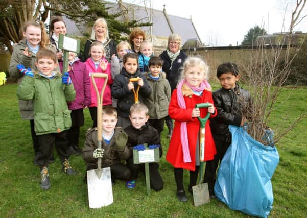 The pupils of River Beach Primary Schools eco-council and mayor Jill Long helping to plant a tree D15103140a