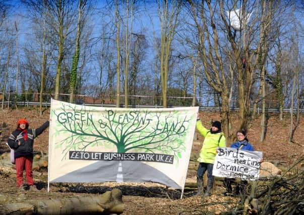 Protest over the felling of trees to make way for the Queensway Gateway Road, Hastings. 11/3/15 SUS-151103-124601001