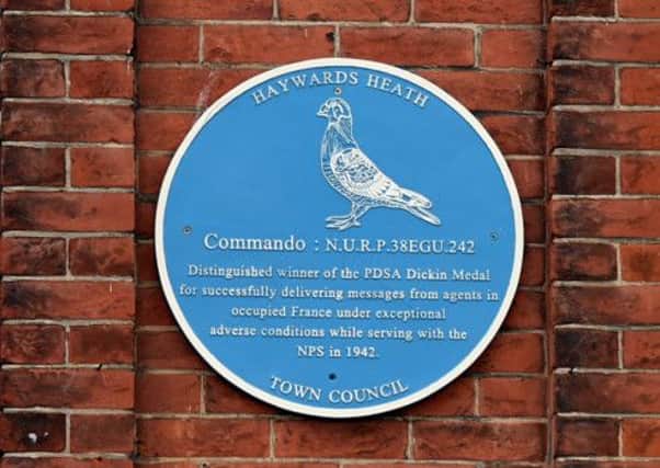 War Pigeon Plaque, Magda's Cafe, The Broadway, Haywards Heath, Sussex. 

Picture :Liz Pearce. 240315
LP1500643 SUS-150324-161338008