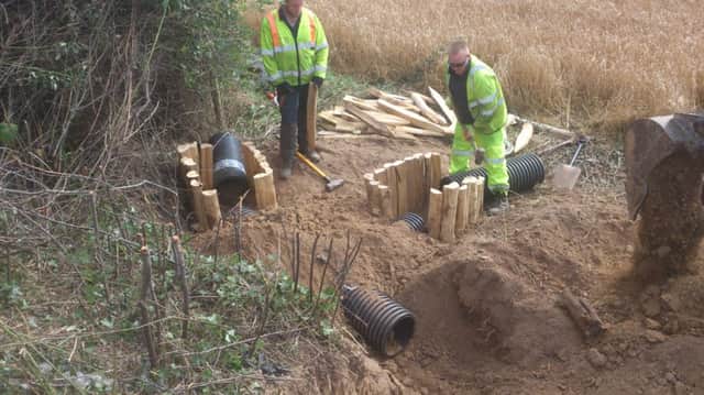 Work is carried out on the artificial badger setts by the Bexhill to Hastings Link Road