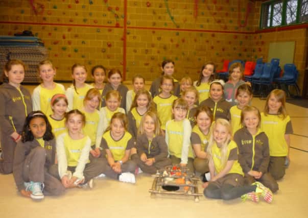 Horsham brownies during the sponsored sing for Cancer Research SUS-150330-120555001