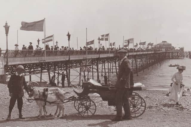 A goat-drawn cart in front of Worthing pier