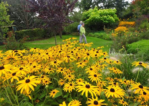 9/9/14- Open Gardens for Charity- Merriments at Hurst Green. SUS-140909-132303001