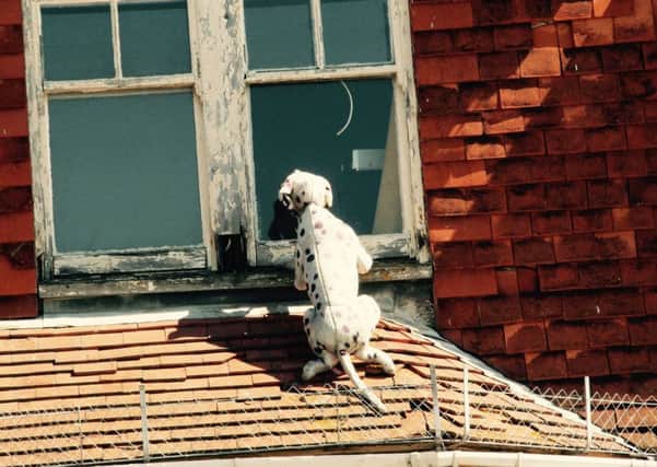 The dalmatian dog in Pier Road which is causing a stink at Arun District Council SUS-150421-163959001