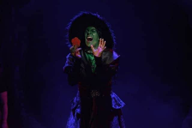 Andrew Donovan as the Wicked Witch. Picture by Sam Taylor