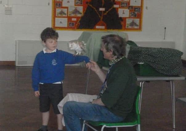 Castlewood Primary School meet animals SUS-150430-153034001