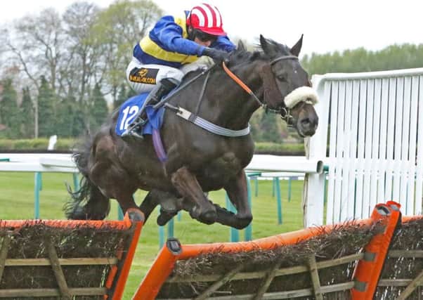 Action last time out at Fontwell / Picture by Tim Hale