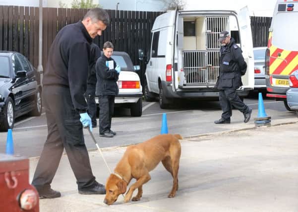 Sniffer dogs join the search