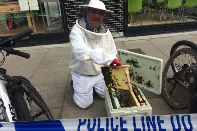 Tony Cropley swarm collector for Chichester, collects thousands of bees that gathered outside shops