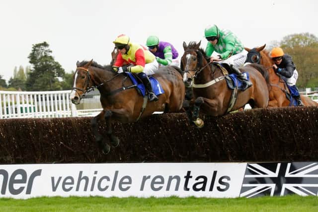 Action at Fontwell Park / Picture by Clive Bennett