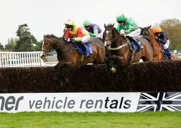 Action at Fontwell Park / Picture by Clive Bennett