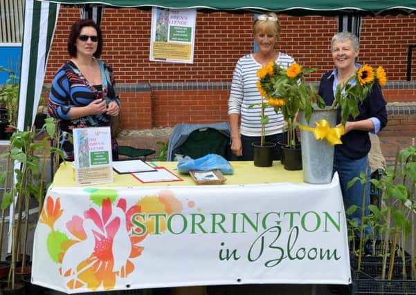 Storrington in Bloom - Duck Race Sunflowers 2015 SUS-150515-164537001