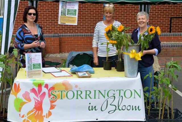 Storrington in Bloom SUS-150518-093655001