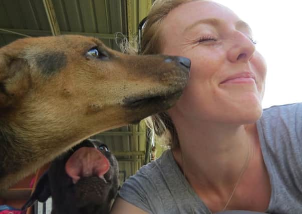 Midhurst vet Livvy Peters has been rescuing dogs