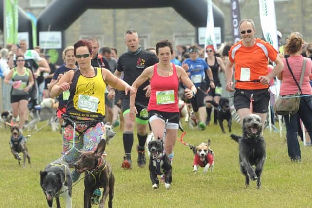 Runners' dogs got in on the act too