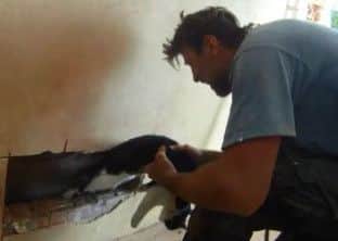 Builder Lee Cooper rescuing Domino the cat from this wall