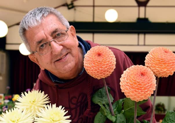 Flower Show. Steyning Horticultural Society Autumn Flower Show.Pictured is Charles Ashby( Chairman) with his winning Dahlias.  Steyning Centre. Steyning. Picture : Liz Pearce LP300814FS05 SUS-140830-204744008