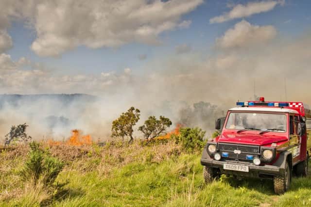 About 40 firefighters from across East and West Sussex were called to tackle the inferno  PHOTO: Eddie Howland SUS-150706-115147001
