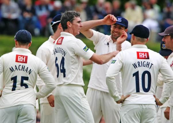 Sussex celebrate a wicket