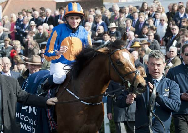 Gleneagles looks Goodwood-bound / Picture by Mark Westley