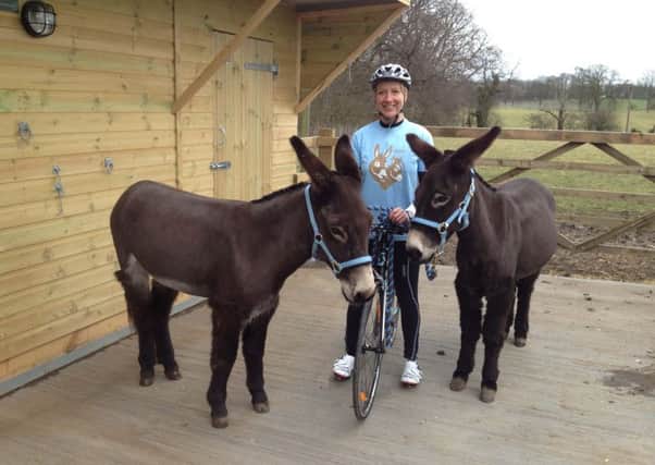 The Donkey Sanctuary is looking for volunteers on its fundraising team