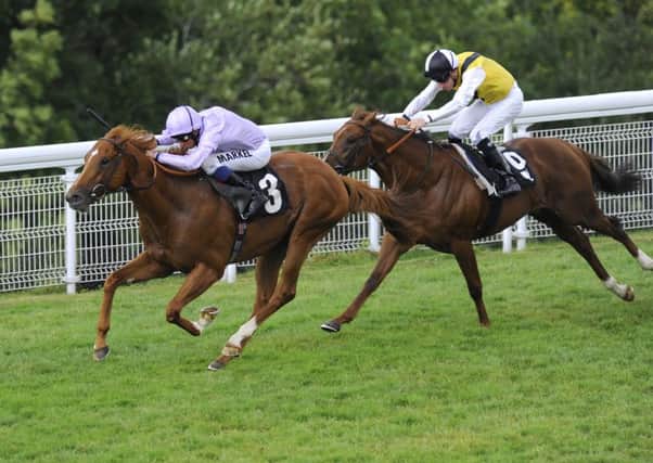 Dutch Connection wins at Glorious 2014 - will there be a repeat show in the Lennox Stakes? Picture by Malcolm Wells 142231