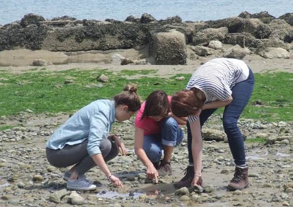 Teachers discover how marine studies can be used in the classroom