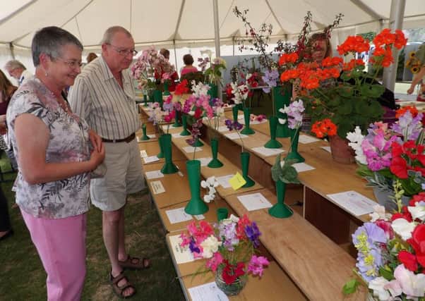 Cowfold Horticultural Society's Summer Show/ Picture by Graham Hazard SUS-150707-135903001
