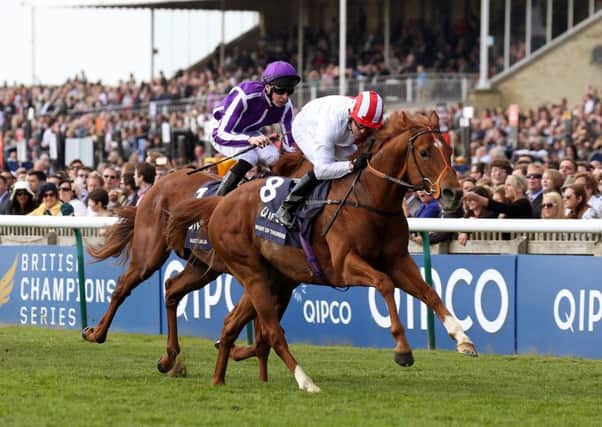 Night of Thunder is one of 21 still in the frame for the Qatar Sussex Stakes