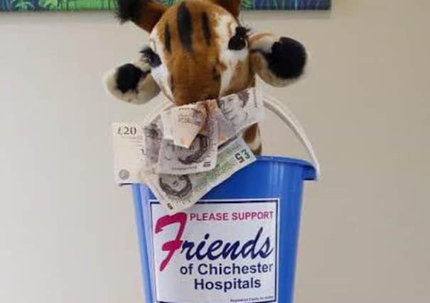 Guests at Tricia Robertsons birthday party donated money to the Giraffe Appeal for neonatal care SUS-150907-095327003