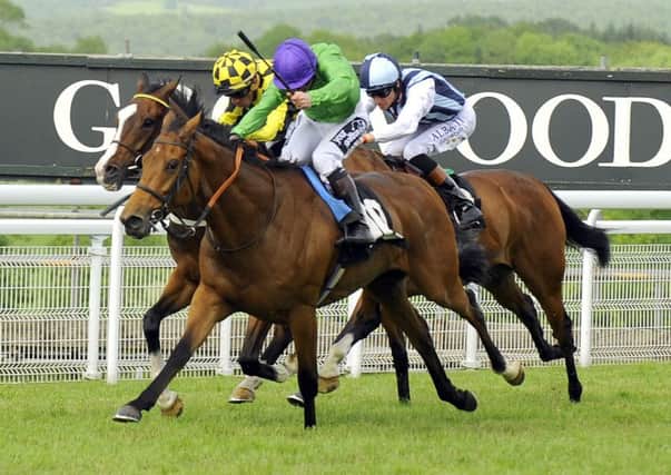 Gavlar wins at Goodwood in June / Picture by Malcolm Wells