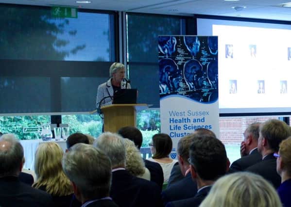 Louise Goldsmith, leader of West Sussex County Council, speaks at a Health and Life Sciences event at Roffey Park near Horsham on Tuesday July 7 (photo submitted). SUS-151007-141355001