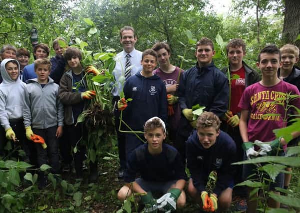Head teacher John Green joined in the effort at Monkmead Wood, helped to remove Himalayan balsam