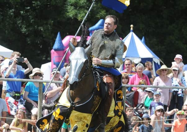 Loxwood Joust 1/8/15 (Pic by Jon Rigby) SUS-150308-110852008