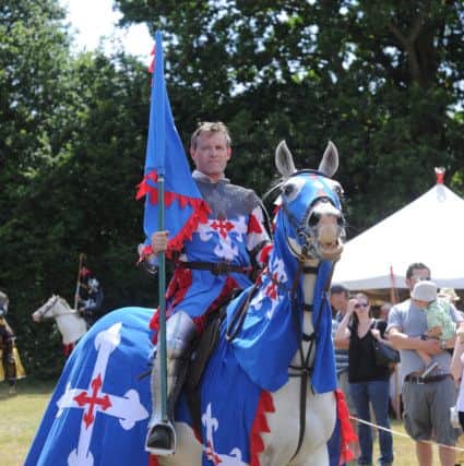 Loxwood Joust 1/8/15 (Pic by Jon Rigby) SUS-150308-110841008