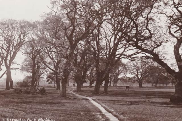 Offington Park, taken in the spring of 1910 by the Tunbridge Wells photographer Harold Camburn. The second photograph looks west along Poulters Lane