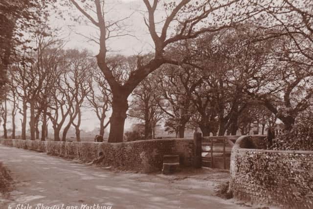 Offington Park, taken in the spring of 1910 by the Tunbridge Wells photographer Harold Camburn. This photograph looks west along Poulters Lane SUS-150716-115129003