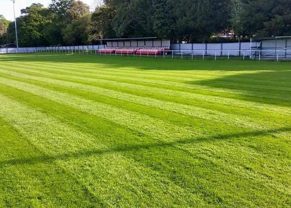 Chichester City's newly-laid pitch is ready for action