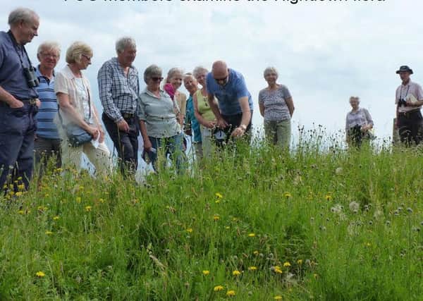 Ferring Conservation Members examine the Highdown flora