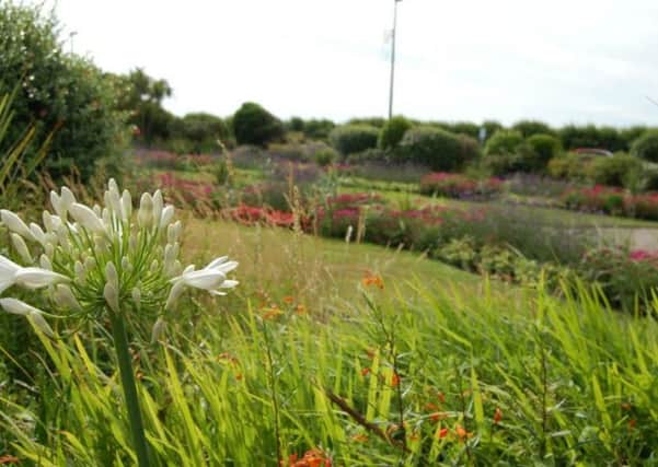 Marine Park Gardens in Bognor Regis is one of the UK's finest gardens