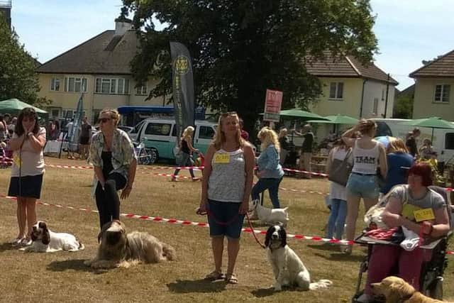 Northdale Veterinary Practice's annual charity dog show on Broadwater Green