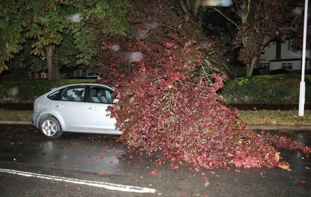 HIGH WINDS - GORSE AVE, WOTHING, 01.00 HRS THIS MORNING SUS-150725-094536001