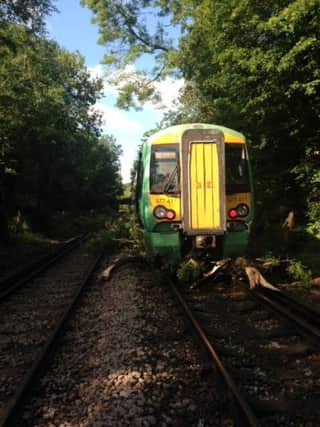 Tree causes delays on the train network SUS-150725-100647001