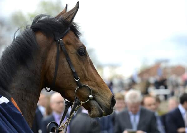Legatissimo has everything in her favour in the Qatar Nassau Stakes / Picture by Mark Westley