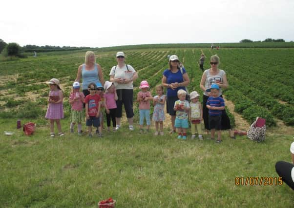 Children and paerents from Bluecoat Nursery strawberry picking at the end of term SUS-150727-160133001